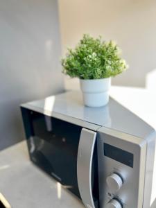 Wendelsteiner Freizeitoase