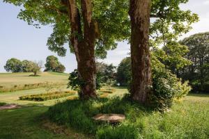 Elrick Estate - Little Elrick