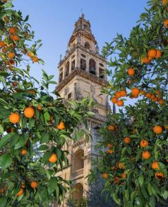 Rincón de San Nicolás Apartment