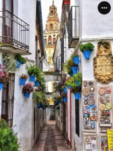 Rincón de San Nicolás Apartment