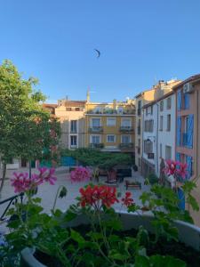 Appartements Maison individuelle plein coeur d-Argeles sur Mer : photos des chambres