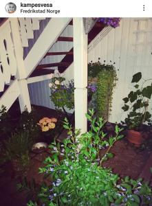 Cozy apartment centrally located in the middle of the city