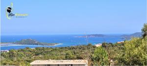 Paradiso T3 vue Mer Piscine Partagée