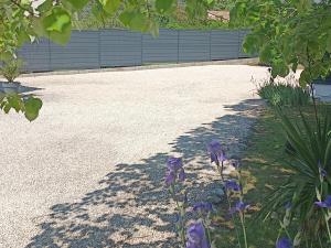 Appartements la pinede : Appartement - Rez-de-Chaussée