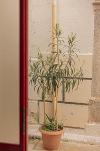 Luxury Medieval Residence