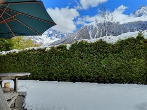 Chalet Spacieux à Chamonix pour 9 Vue Panoramique Mont-Blanc Jardin & Parking