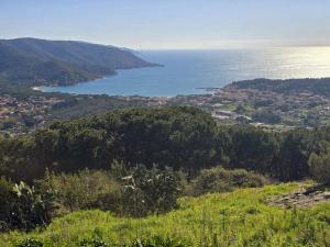 Appartamenti del Lettore - Elba Affitti
