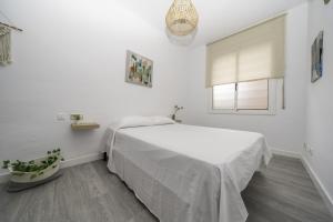 HomeHolidaysRentals Balmes - Costa Barcelona