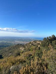 Appartements Studio plein coeur d-Argeles sur Mer : Studio