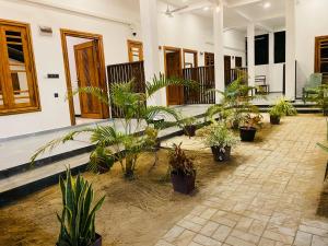 Arugambay Alice Rest