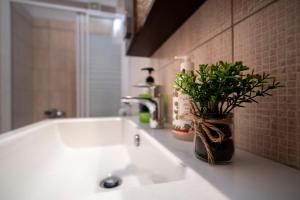 Sunsets Nest by Golden Host