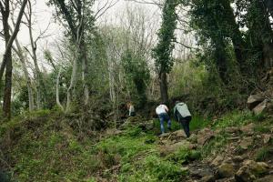 Hanami House Boutique Escapada al Otoño Mágico del Jerte