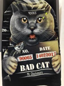 شقة بغرفتين وصالة مودرن وراقية