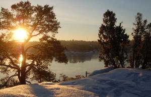 Dream cottage in the Stockholm archipelago