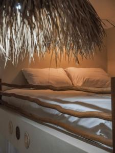 Secret Spot Surf and Stay