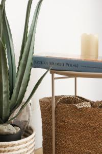 MEC-2 Apartment Mechelinki