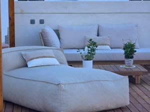 Domo AWA Magia y Naturaleza