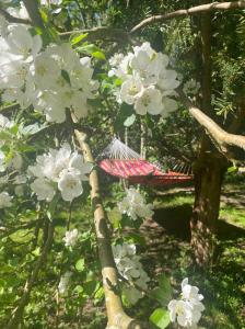 Classic Wooden Home Near Beach In Hornbæk