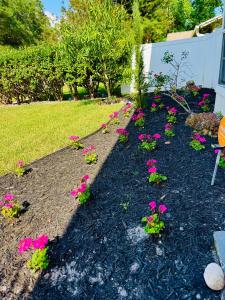 Tampa Luxury 5BR Estate with Pool and Golf Views