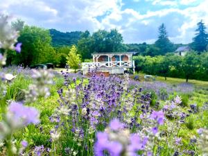 Tiny House at lake Balaton