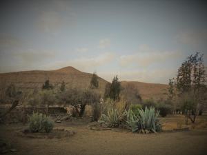 Stone Haven at Nieu Bethesda