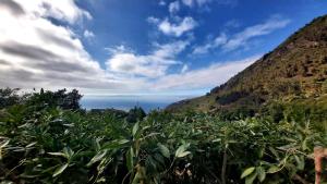 Casa Rural La Resbala - Casa Cardon