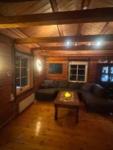 Cottage with good standard next to Neiden river