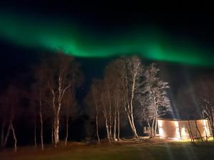 Cottage with good standard next to Neiden river