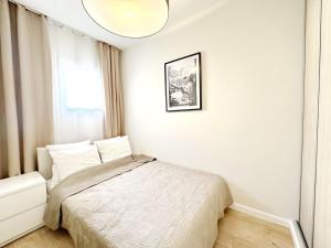 F2 rue des frères Pradignac , Hypercentre 2 min from Palais of festivals