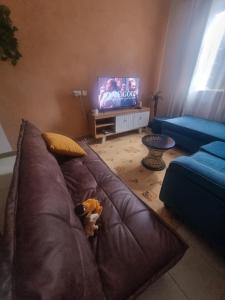 The Boma Yangu Apartments Block A -fast WIFI, near CBD- Nairobi