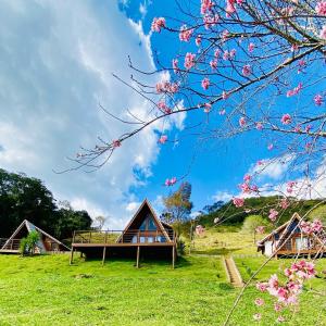Chalés Fazenda Floresta das Araucárias