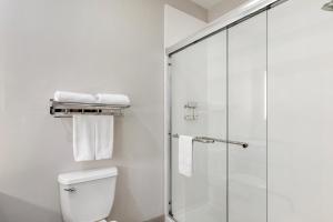 Holiday Inn Express Hotel and Suites Alice by IHG