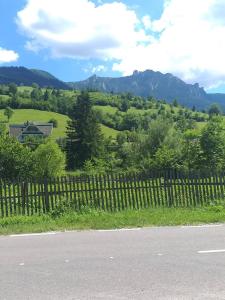 Complex de pensiuni si casute -Debarcader Ceahlau