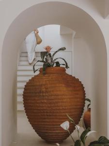 Ibara Ibiza Hotel Boutique