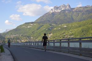 Appartements Le Coin des Cygnes, appartement face au lac d'Annecy avec plage privee : photos des chambres