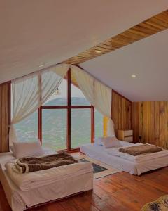 Tower Hill Cabin Dieng