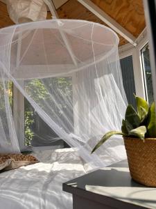 DE BUITENKANS unique cabins - urban camping