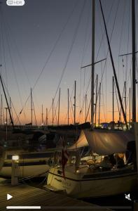 Boat in Puerto de Mogán