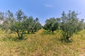 Villetta nel cuore del Salento