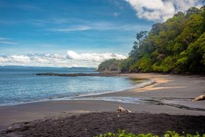 Romantic 1BR Studio Guesthouse with 3 Shared Pools, Beach and Resort Access