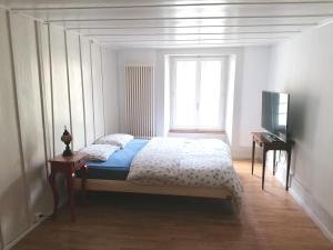 Grosse Charmante Wohnung