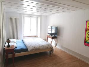 Grosse Charmante Wohnung