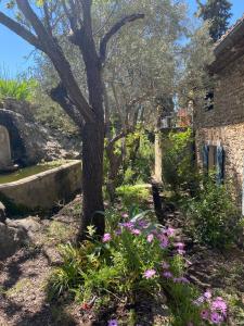 Maisons de vacances La Maison Rose I Maison de village familiale : photos des chambres