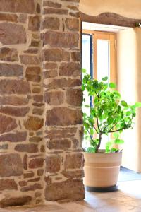 Louzou Les Chambres Aux Loups