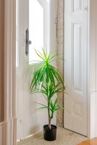 Classic Meets Modern – Downtown Balcony Retreat