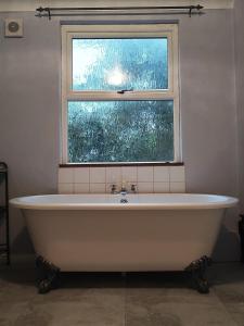 Blue House of Brighton Kemptown