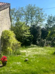 Maisons de vacances Le Merlat Gite : photos des chambres