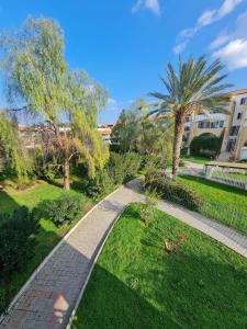 At Patara Site, the heart of Kyrenia