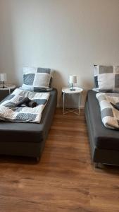 Modernes Apartment Dornberg