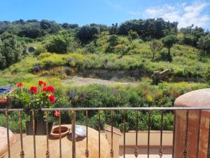 Cantina Marongiu img54